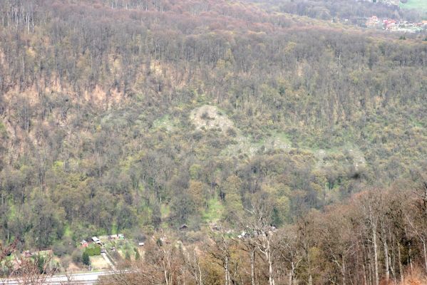 Zvolen, 4.4.2016
Javorie - Pustý hrad. Pohled na Veľkou stráž - zarůstající xerothermní stepní formace.


Schlüsselwörter: Zvolen Javorie Pustý hrad Veľká stráž