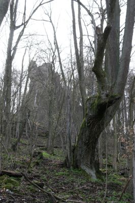 Zvolen, 4.4.2016
Javorie - Sokolia skala.



Klíčová slova: Zvolen Javorie Sokolia skala