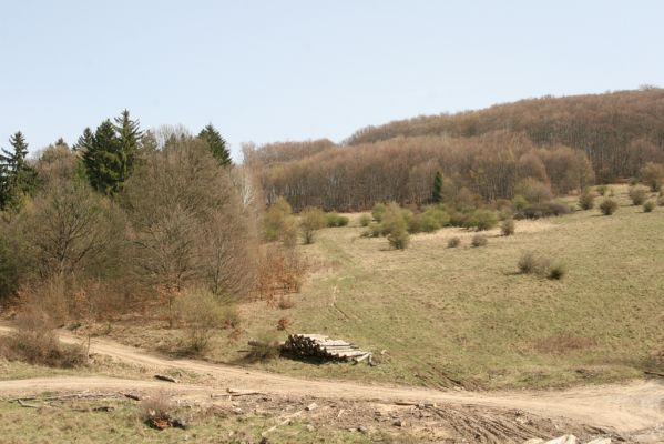 Ostrá Lúka, 4.4.2016
Javorie – pastevní les na severozápadním svahu Vápenné.


Schlüsselwörter: Ostrá Lúka Javorie vrch Vápenná pastevní les