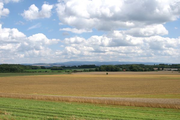 Zvole - Zvolský vrch, 20.7.2008
Pohled ze Zvolského vrchu na východ na modravou hradbu Orlických hor.
Mots-clés: Zvole Zvolský vrch Orlické hory