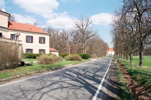 Černická obora, 14.4.2004
Černice, silnice od Sudoměřic.
Keywords: Sudoměřice u Bechyně Černice Černická obora