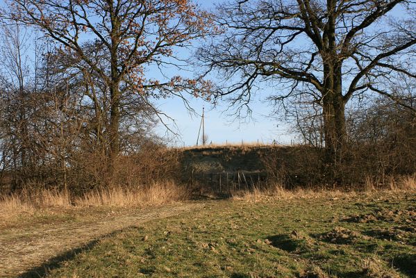 Piletice-vrch Okrouhlík, 23.2.2008
Příjezdová komunikace od Piletic. Západní úpatí vrchu Okrouhlík.
Klíčová slova: Hradec Králové Piletice Okrouhlík