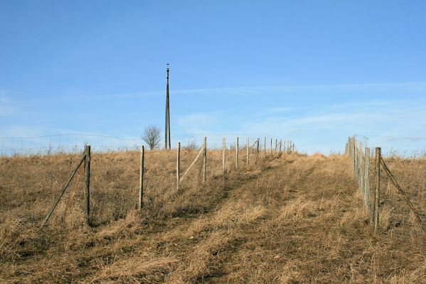 Piletice-vrch Okrouhlík, 23.2.2008
Podíváme se, co je nového na vrcholku Okrouhlíku.
Klíčová slova: Hradec Králové Piletice Okrouhlík step zalesnění