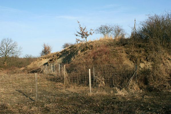 Piletice-vrch Okrouhlík, 23.2.2008
Pozůstatky po bývalé těžbě hlíny na západním úpatí vrchu. Moderní doba žádá: zalesnit!
Klíčová slova: Hradec Králové Piletice Okrouhlík step zalesnění