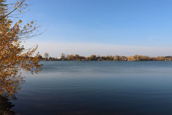 Opatovice nad Labem, 31.10.2021
Opaťák.
Klíčová slova: Opatovice nad Labem Pohřebačka Opaťák