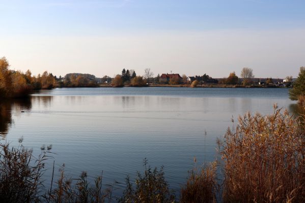 Opatovice nad Labem, 31.10.2021
Opaťák.
Klíčová slova: Opatovice nad Labem Pohřebačka Opaťák