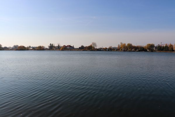 Opatovice nad Labem, 31.10.2021
Opaťák.
Klíčová slova: Opatovice nad Labem Pohřebačka Opaťák