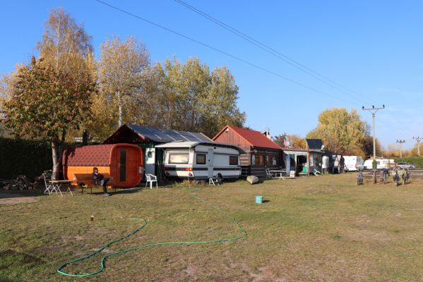 Opatovice nad Labem, 31.10.2021
Opaťák.
Mots-clés: Opatovice nad Labem Pohřebačka Opaťák