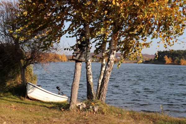 Opatovice nad Labem, 31.10.2021
Opaťák.
Klíčová slova: Opatovice nad Labem Pohřebačka Opaťák