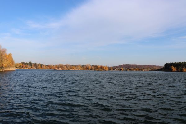 Opatovice nad Labem, 31.10.2021
Opaťák.
Klíčová slova: Opatovice nad Labem Pohřebačka Opaťák