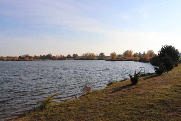 Opatovice nad Labem, 31.10.2021
Opaťák.
Klíčová slova: Opatovice nad Labem Pohřebačka Opaťák