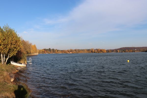 Opatovice nad Labem, 31.10.2021
Opaťák.
Klíčová slova: Opatovice nad Labem Pohřebačka Opaťák