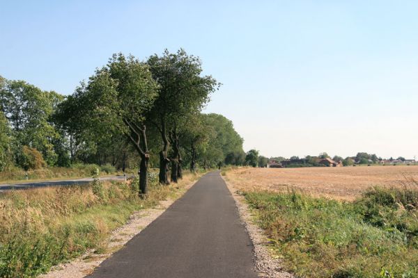 Stěžery, 23.9.2009
Ořezané kmeny třešní u cyklostezky ze Stěžírků (padající třešně asi špinily pneumatiky). Krasci třešňoví zde mají připravené idealní podmínky pro svůj vývoj.
Keywords: Stěžery Stěžírky Anthaxia candens