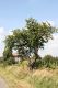 20110916_Tresovice_02.jpg