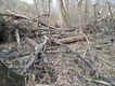 Název souboru=20250328_100206.jpeg
Velikost souboru=2475KB
Rozměry=3200x2400
Datum přidání=25.10.2025 20250328_100206.jpeg