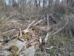Název souboru=20250328_100501~0.jpeg
Velikost souboru=2563KB
Rozměry=3200x2400
Datum přidání=25.10.2025 20250328_100501~0.jpeg