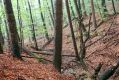 Název souboru=Bardejov_28_9_2004_05.jpg
Velikost souboru=572KB
Rozměry=1024x683
Datum přidání=16.02.2017 Bardejov_28_9_2004_05.jpg
