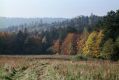 Název souboru=Bardejov_2_10_2004_02.jpg
Velikost souboru=591KB
Rozměry=1024x683
Datum přidání=16.02.2017 Bardejov_2_10_2004_02.jpg