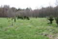 Bedovice_16_4_2010_06.jpg