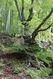 Dateiname=Bezdez_6_10_2022_03.jpg
Dateigröße=609KB
Abmessungen: 683x1024
hinzugefügt am: 25. November 2022 Bezdez_6_10_2022_03.jpg