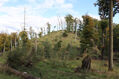 Bezdez_6_10_2022_105.jpg