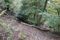 Dateiname=Bezdez_6_10_2022_27.jpg
Dateigröße=629KB
Abmessungen: 1024x683
hinzugefügt am: 25. November 2022 Bezdez_6_10_2022_27.jpg