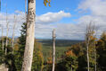 Bezdez_6_10_2022_88.jpg