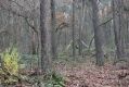 Ceperka_23_11_2020_03.jpg