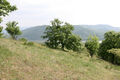 Název souboru=Chlaba_5_6_2014_06.jpg
Velikost souboru=1004KB
Rozměry=1200x800
Datum přidání=01.03.2024 Chlaba_5_6_2014_06.jpg