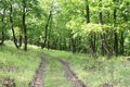 Název souboru=Chlaba_5_6_2014_13.jpg
Velikost souboru=1058KB
Rozměry=1200x800
Datum přidání=01.03.2024 Chlaba_5_6_2014_13.jpg