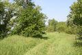 Název souboru=Chlaba_5_6_2014_24.jpg
Velikost souboru=1265KB
Rozměry=1200x800
Datum přidání=01.03.2024 Chlaba_5_6_2014_24.jpg