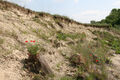 Název souboru=Chlaba_5_6_2014_39.jpg
Velikost souboru=1168KB
Rozměry=1200x800
Datum přidání=01.03.2024 Chlaba_5_6_2014_39.jpg