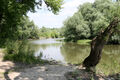 Název souboru=Chlaba_5_6_2014_46.jpg
Velikost souboru=1110KB
Rozměry=1200x800
Datum přidání=01.03.2024 Chlaba_5_6_2014_46.jpg