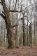 Choltice_24_2_2022_23.jpg