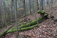 Název souboru=Cidlina_15_11_2022_09.jpg
Velikost souboru=578KB
Rozměry=1024x683
Datum přidání=23.12.2022 Cidlina_15_11_2022_09.jpg