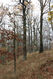 Název souboru=Cidlina_15_11_2022_11.jpg
Velikost souboru=596KB
Rozměry=683x1024
Datum přidání=23.12.2022 Cidlina_15_11_2022_11.jpg