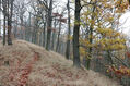 Název souboru=Cidlina_15_11_2022_12.jpg
Velikost souboru=606KB
Rozměry=1024x683
Datum přidání=23.12.2022 Cidlina_15_11_2022_12.jpg