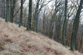 Název souboru=Cidlina_15_11_2022_16.jpg
Velikost souboru=542KB
Rozměry=1024x683
Datum přidání=23.12.2022 Cidlina_15_11_2022_16.jpg