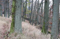 Název souboru=Cidlina_15_11_2022_17.jpg
Velikost souboru=545KB
Rozměry=1024x683
Datum přidání=23.12.2022 Cidlina_15_11_2022_17.jpg
