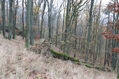Název souboru=Cidlina_15_11_2022_19.jpg
Velikost souboru=576KB
Rozměry=1024x683
Datum přidání=23.12.2022 Cidlina_15_11_2022_19.jpg