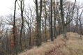 Název souboru=Cidlina_15_11_2022_20.jpg
Velikost souboru=551KB
Rozměry=1024x683
Datum přidání=23.12.2022 Cidlina_15_11_2022_20.jpg