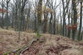 Název souboru=Cidlina_15_11_2022_21.jpg
Velikost souboru=575KB
Rozměry=1024x683
Datum přidání=23.12.2022 Cidlina_15_11_2022_21.jpg
