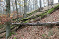 Název souboru=Cidlina_15_11_2022_23.jpg
Velikost souboru=621KB
Rozměry=1024x683
Datum přidání=23.12.2022 Cidlina_15_11_2022_23.jpg