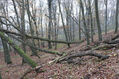 Název souboru=Cidlina_15_11_2022_27.jpg
Velikost souboru=586KB
Rozměry=1024x683
Datum přidání=23.12.2022 Cidlina_15_11_2022_27.jpg