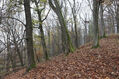 Název souboru=Cidlina_15_11_2022_29.jpg
Velikost souboru=600KB
Rozměry=1024x683
Datum přidání=23.12.2022 Cidlina_15_11_2022_29.jpg