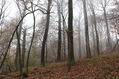 Název souboru=Cidlina_15_11_2022_32.jpg
Velikost souboru=501KB
Rozměry=1024x683
Datum přidání=23.12.2022 Cidlina_15_11_2022_32.jpg