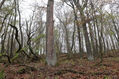 Název souboru=Cidlina_15_11_2022_34.jpg
Velikost souboru=587KB
Rozměry=1024x683
Datum přidání=23.12.2022 Cidlina_15_11_2022_34.jpg