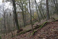 Název souboru=Cidlina_15_11_2022_36.jpg
Velikost souboru=556KB
Rozměry=1024x683
Datum přidání=23.12.2022 Cidlina_15_11_2022_36.jpg
