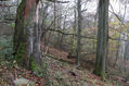 Název souboru=Cidlina_15_11_2022_38.jpg
Velikost souboru=551KB
Rozměry=1024x683
Datum přidání=23.12.2022 Cidlina_15_11_2022_38.jpg