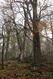 Název souboru=Cidlina_15_11_2022_41.jpg
Velikost souboru=572KB
Rozměry=683x1024
Datum přidání=23.12.2022 Cidlina_15_11_2022_41.jpg